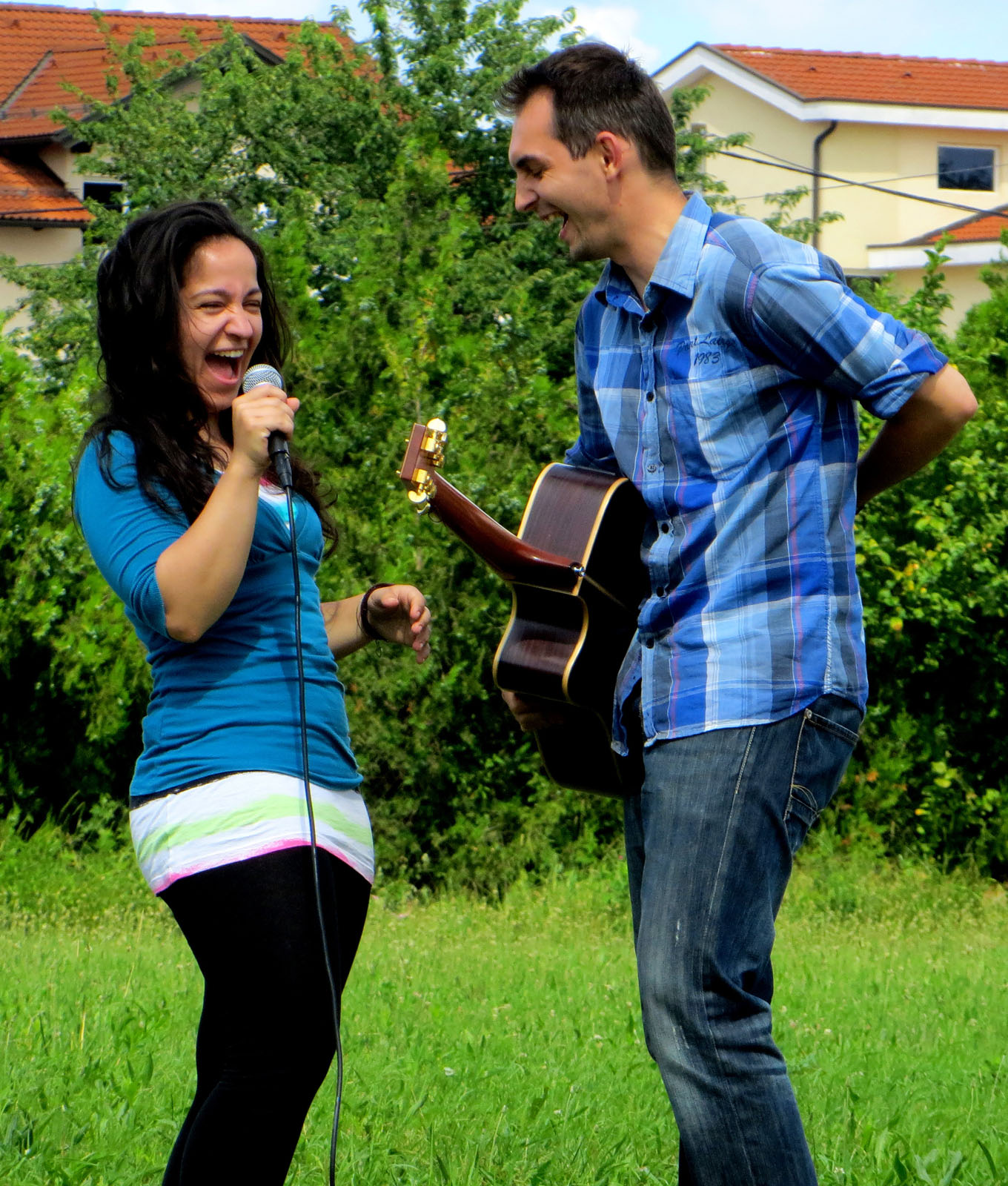 Trava, livada, pjevanje, veselje, Shure