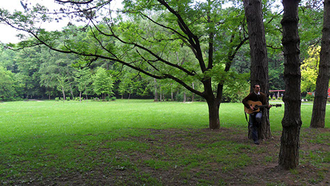 crkva sv. Jeronima, Maksimir, sviranje na vjenčanju, drveće